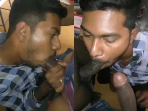 Indian Gay boys threesome blowjob sex videos